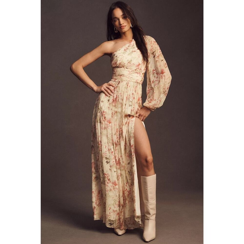 BHLDN Anthropologie Iris One-Shoulder Cut-Out Printed Chiffon Gown Medium